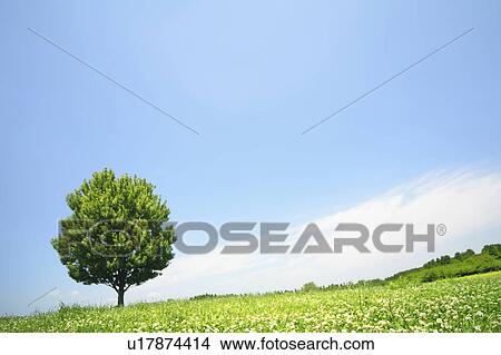 Green Hill View Large Photo Image Picture - Green Hill. Fotosearch