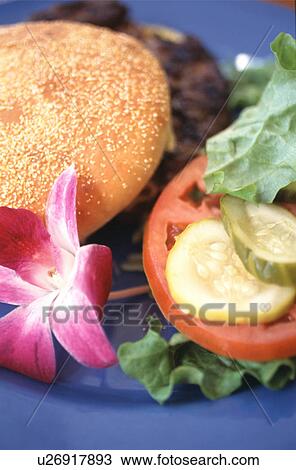Stock Image - Hamburger. Fotosearch