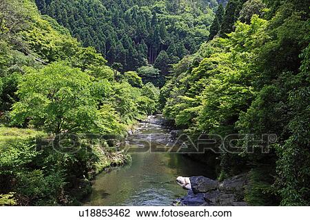 Kiyotaki river, Kyoto Prefecture, Honshu, Japan View Large Photo Image Stock Image - Kiyotaki river, Kyoto Prefecture, Honshu, Japan. Fotosearch
