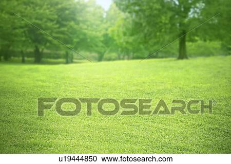 Lawn View Large Photo Image Stock Image - Lawn. Fotosearch
