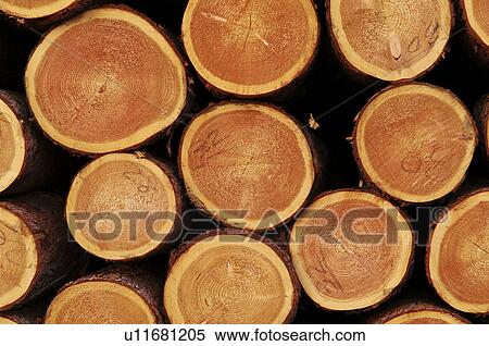 Stock Photography - Logs. Fotosearch