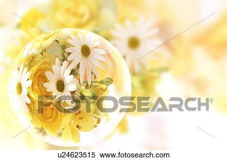 Stock Photography - Marguerite. Fotosearch