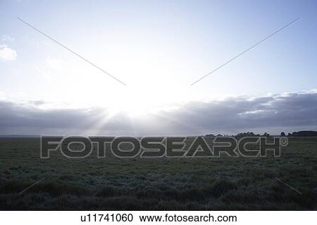 Meadow, Normandy, France View Large Photo Image Stock Image - Meadow, Normandy, France. Fotosearch