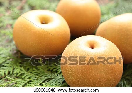 Stock Photo - Nashi Pears. Fotosearch
