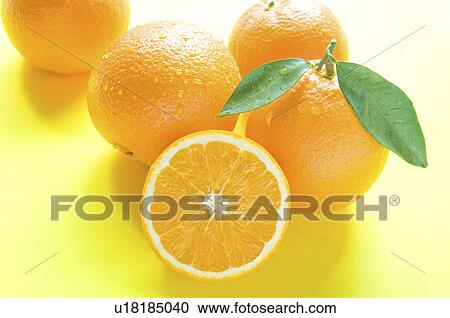 Stock Image - Navel oranges. Fotosearch