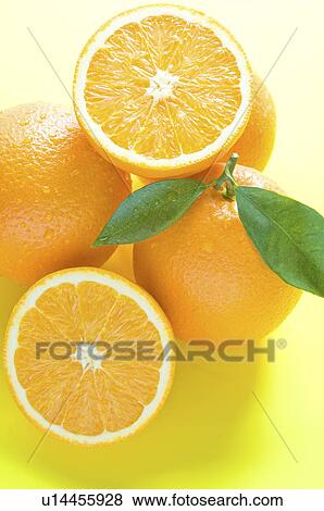 Stock Photo - Navel oranges. Fotosearch