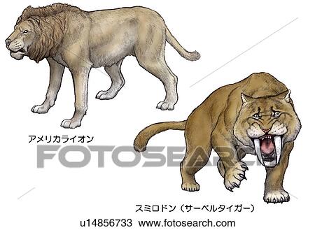 Stock Image - North American wildlife in 4th century. Fotosearch