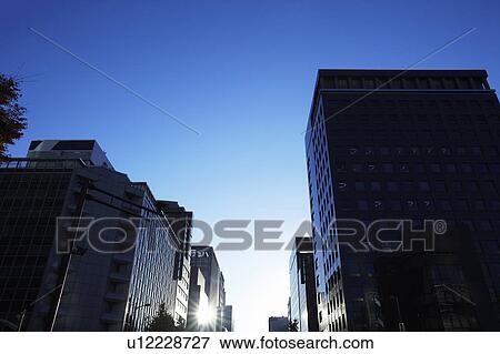 Office buildings at dawn, Chiyoda Ward, Tokyo Prefecture, Honshu, Japan View Large Photo Image Stock Photo - Office buildings at dawn, Chiyoda Ward, Tokyo Prefecture, Honshu, Japan. Fotosearch