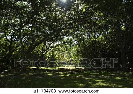 Park View Large Photo Image Stock Image - Park. Fotosearch