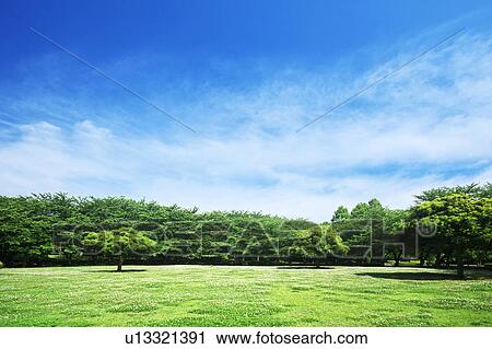 Park View Large Photo Image Stock Image - Park. Fotosearch
