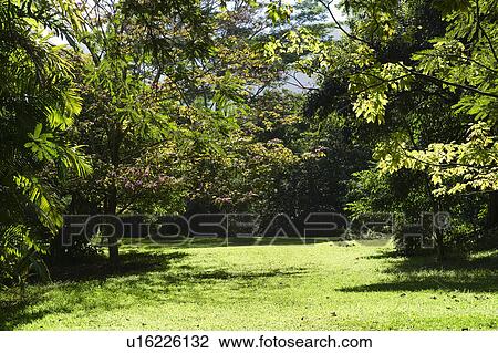 Park View Large Photo Image Stock Image - Park. Fotosearch