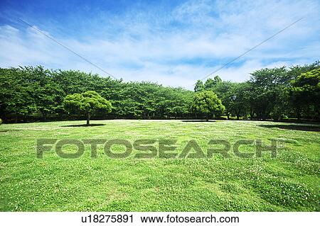 Park View Large Photo Image Stock Image - Park. Fotosearch
