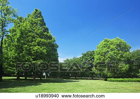Park View Large Photo Image Stock Image - Park. Fotosearch