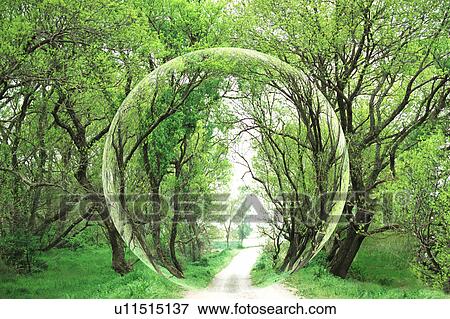 Stock Photo - Path in a forest, Chiba Prefecture, Honshu, Japan. Fotosearch
