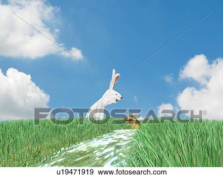 Stock Photo - Rabbit and frog by the river. Fotosearch