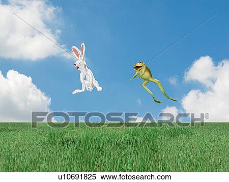 Rabbit and frog jumping View Large Photo Image Stock Photography - Rabbit and frog jumping. Fotosearch
