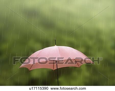 Stock Image - Rain Falling on Umbrella. Fotosearch