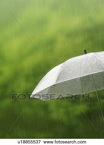 Rain Falling on Umbrella View Large Photo Image Stock Photo - Rain Falling on Umbrella. Fotosearch