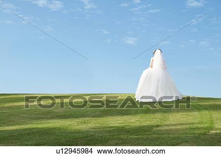 Picture - Rear view of young woman in wedding dress. Fotosearch