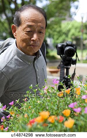 Stock Photo - Senior man looking at flowers. Fotosearch