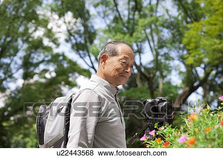 Senior man looking at flowers View Large Photo Image Stock Photo - Senior man looking at flowers. Fotosearch