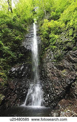 Stock Photography - Shiraito Falls. Fotosearch