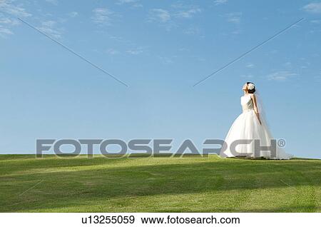 Side view of young woman in wedding dress View Large Photo Image Stock Photo - Side view of young woman in wedding dress. Fotosearch