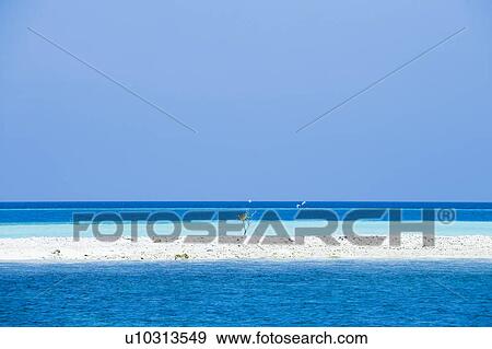 Stock Photo - Single Tree in Islet. Fotosearch