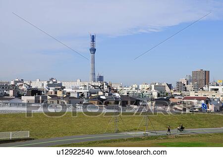 Stock Image - Skyline of Edogawa ward showing Tokyo Sky Tree, Tokyo Prefecture, Japan. Fotosearch