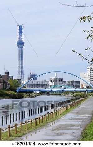 Skyline of Koto ward showing Tokyo Sky Tree, Tokyo Prefecture, Japan View Large Photo Image Picture - Skyline of Koto ward showing Tokyo Sky Tree, Tokyo Prefecture, Japan. Fotosearch