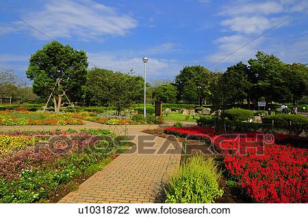 Stock Image - Sodegaura seaside park, Chiba Prefecture, Japan. Fotosearch
