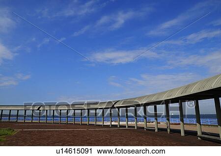 Sodegaura seaside park, Chiba Prefecture, Japan View Large Photo Image Stock Image - Sodegaura seaside park, Chiba Prefecture, Japan. Fotosearch