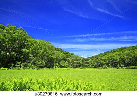 Stock Photograph - Wetland, Nagano Prefecture, Japan. Fotosearch