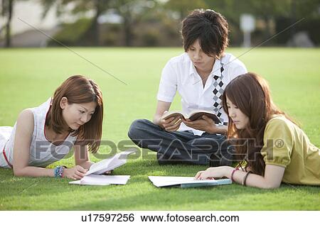 Young people studying outdoors View Large Photo Image Stock Photograph - Young people studying outdoors. Fotosearch
