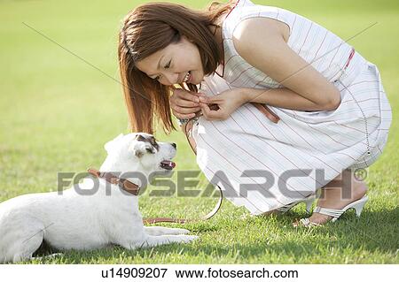 Stock Photo - Young woman and dog looking at each other. Fotosearch