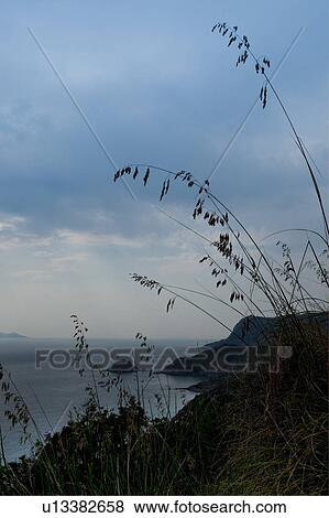 Aerial coastline view, Monte Argentario (Orbetello), Tuscany Italy, view of sea and rocky shoreline with foreground reeds, on sunny spring afternoon. View Large Photo Image Stock Photo - Aerial coastline view, Monte Argentario (Orbetello), Tuscany Italy, view of sea and rocky shoreline with foreground reeds, on sunny spring afternoon.. Fotosearch