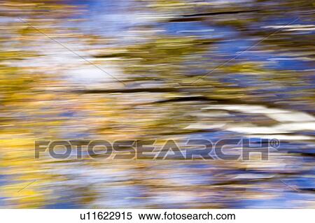 Stock Photography - Aspen trees: detail of yellow leaves and dark trunks against blue fall sky, with motion blur, horizontal abstract effect, Utah. Fotosearch