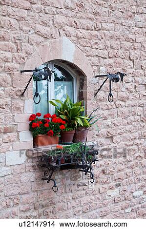 Close up view of arched window of medieval stone palace with decorative red geraniums on window sills, and traditional wrought iron torches beside, on sunny afternoon, Assisi, Umbria, Italy View Large Photo Image Picture - Close up view of arched window of medieval stone palace with decorative red geraniums on window sills, and traditional wrought iron torches beside, on sunny afternoon, Assisi, Umbria, Italy. Fotosearch