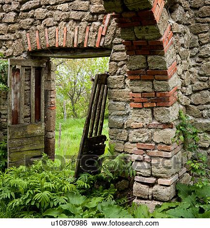 Deserted stone farmhouse in ruins, Tuscany, Italy, interior view of wooden doors, archway with stone /brick detail, overgrown with ferns, sunny spring morning View Large Photo Image Stock Photograph - Deserted stone farmhouse in ruins, Tuscany, Italy, interior view of wooden doors, archway with stone /brick detail, overgrown with ferns, sunny spring morning. Fotosearch