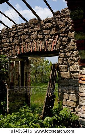 Deserted stone farmhouse in ruins, Tuscany, Italy, interior view of wooden doors, archway with stone /brick detail, overgrown with ferns, and open roof, sunny spring morning View Large Photo Image Stock Photography - Deserted stone farmhouse in ruins, Tuscany, Italy, interior view of wooden doors, archway with stone /brick detail, overgrown with ferns, and open roof, sunny spring morning. Fotosearch