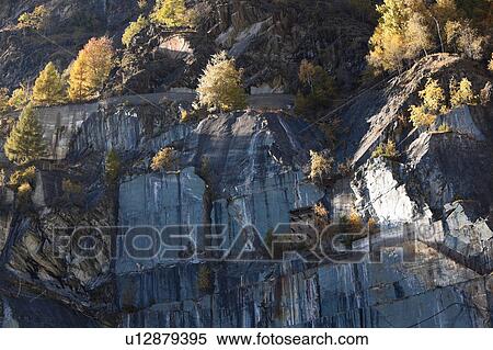 Stock Photography - Granite quarry in mountains: rockface with pattern and texture of cutting, with golden colour of pine trees in autumn, Lombardy, Northern Italy. Fotosearch