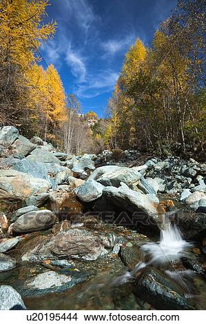 Mountain stream, waterfall over rocks with motion blur, pine trees with golden autumn foliage against deep blue sky in afternoon sunshine, Lombardy, italy View Large Photo Image Picture - Mountain stream, waterfall over rocks with motion blur, pine trees with golden autumn foliage against deep blue sky in afternoon sunshine, Lombardy, italy. Fotosearch