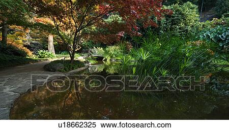 Ornamental gardens of Villa Melzi with path beside pond, horsechestnut and Japanese maple trees with autumn foliage reflected in water, sunlit afternoon, Lake Como, Northern Italy View Large Photo Image Stock Photography - Ornamental gardens of Villa Melzi with path beside pond, horsechestnut and Japanese maple trees with autumn foliage reflected in water, sunlit afternoon, Lake Como, Northern Italy. Fotosearch