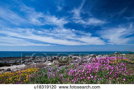 Download Panorama strand wandkunst For Android Free Panorama Strand Wandkunst