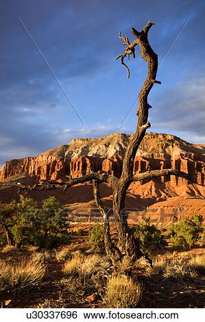 Stock Photograph - Panorama Point, Utah, at sunset with single dead tree outlined against dramatic grey-blue sunlit sky, with red rock mountain range beyond. Fotosearch