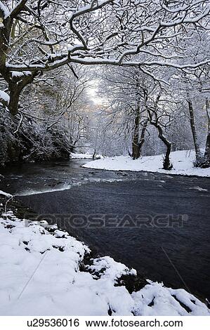 Stock Photograph - River view in woodland with snow-covered river banks and oak trees, late afternoon sunlight, Northern England. Fotosearch