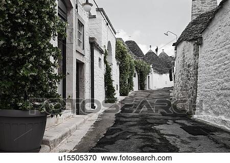 Stock Image - Street view: town of Alberobello, World Heritage site, with trullo houses, white painted stone with piled stone conical roofs, paved street and green flowering jasmine set against monochrome view, Puglia, Southern Italy. Fotosearch