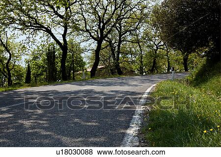 Trees, grass and yellow flowers along curving roadside, on sunny spring morning, Umbria, Italy View Large Photo Image Stock Photo - Trees, grass and yellow flowers along curving roadside, on sunny spring morning, Umbria, Italy. Fotosearch