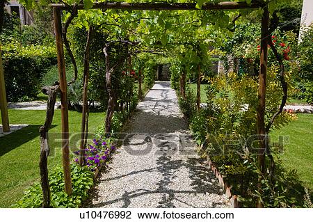 View of ornamental garden, with arbour, surrounded by vines, path lined with flowers, and grass lawns, Renaissance villa, Todi, Umbria, Italy View Large Photo Image Stock Image - View of ornamental garden, with arbour, surrounded by vines, path lined with flowers, and grass lawns, Renaissance villa, Todi, Umbria, Italy. Fotosearch