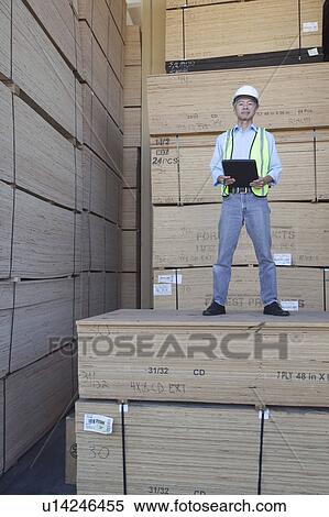 Portrait of a worker standing on stack of plywood View Large Photo Image Stock Photography - Portrait of a worker standing on stack of plywood. Fotosearch